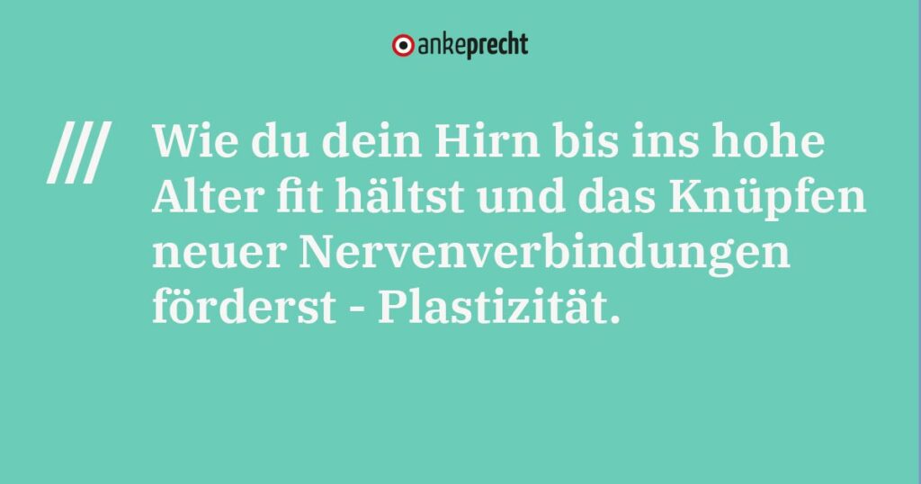 Hirn fit machen